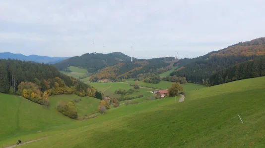IMG-20251019-WA0021.webp