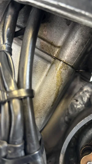 IMG_0118.webp IMG_0118.webp