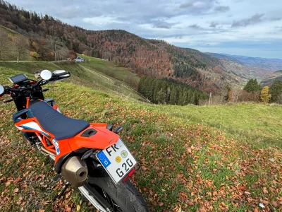 IMG_2689.webp IMG_2689.webp