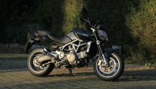 IMG_20220324_111533.webp IMG_20220324_111533.webp