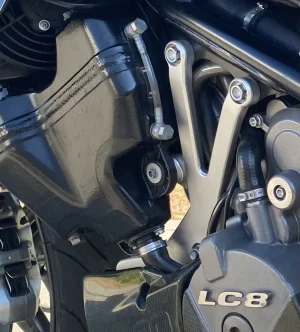 IMG_1434.webp IMG_1434.webp