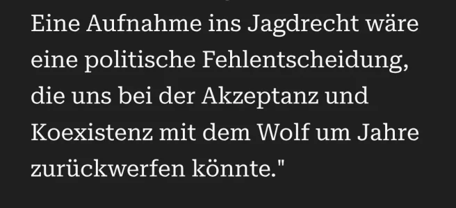 1000025398.webp 1000025398.webp