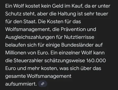 1000025401.webp 1000025401.webp