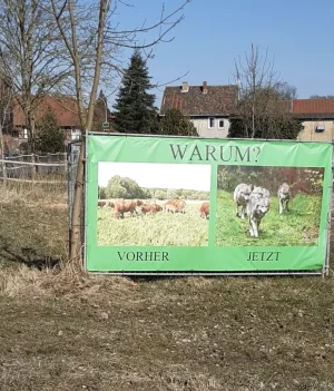 1000025465.webp 1000025465.webp