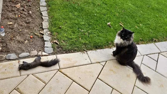 2025-11-15 at 09.53.08.webp