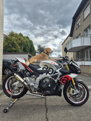 1000153678.webp 1000153678.webp