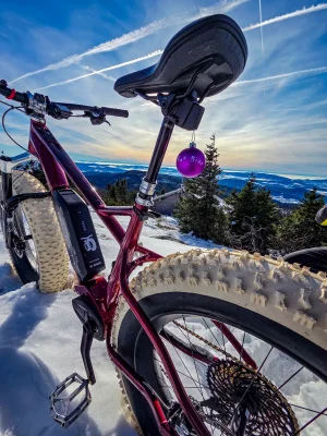 20251130_113926.webp 20251130_113926.webp