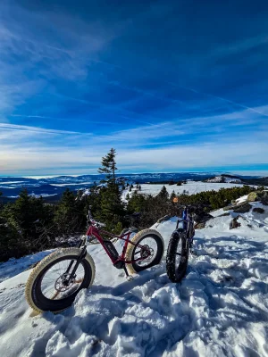 20251130_111851.webp 20251130_111851.webp