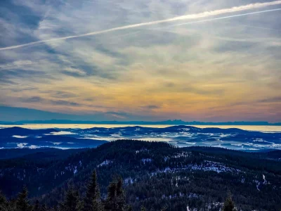 20251130_111838.webp 20251130_111838.webp