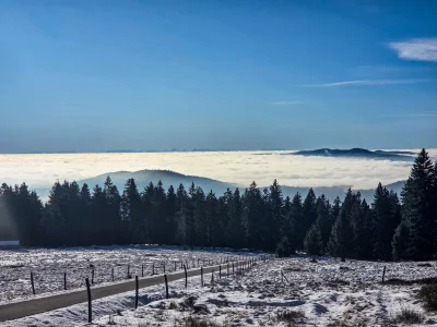 20251123_104604.webp 20251123_104604.webp