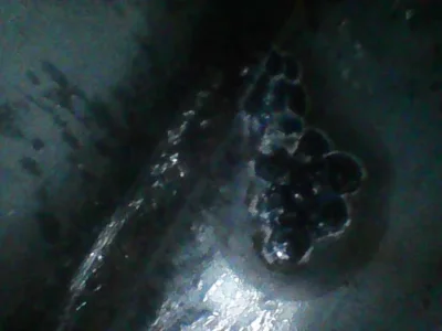 Image_2025-11-29 22_44_51_783.webp