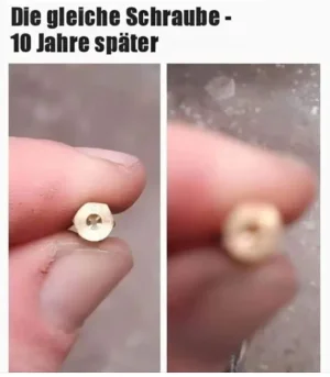Schraube 10Jahre.webp