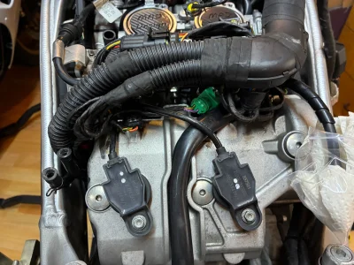 IMG_1452.webp IMG_1452.webp