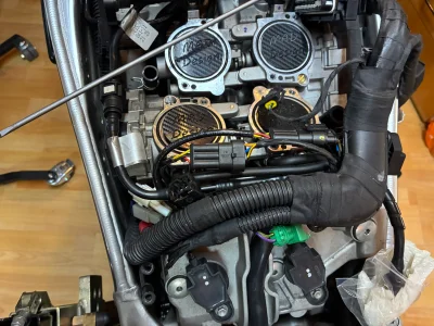 IMG_1453.webp IMG_1453.webp