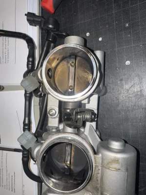 image.webp image.webp