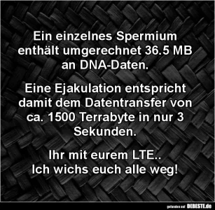 Terra.webp Terra.webp