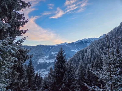 20251225_080720.webp 20251225_080720.webp