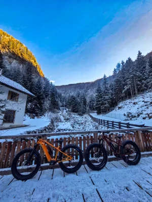 20251225_134949.webp 20251225_134949.webp