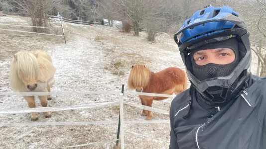 IMG_2524.webp IMG_2524.webp