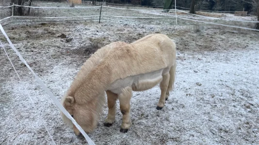 IMG_2526.webp IMG_2526.webp