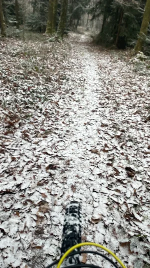 IMG_2521.webp IMG_2521.webp