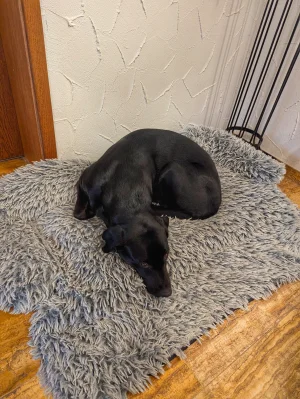 PXL_20260125_092749234 (1).webp