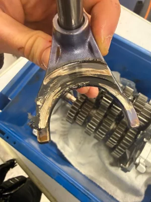 WhatsApp Image 2026-02-05 at 08.34.41.webp