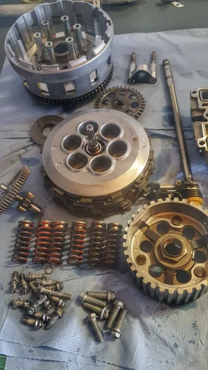 20260215_161712-01.webp 20260215_161712-01.webp