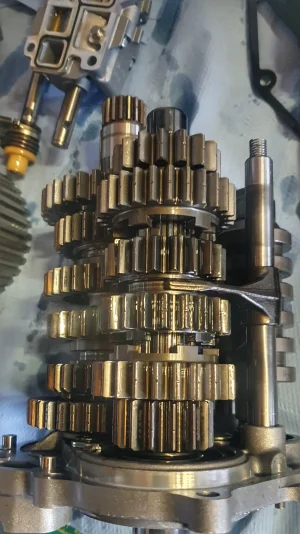 20260215_161703-01.webp 20260215_161703-01.webp