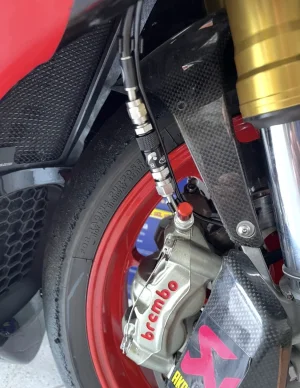 IMG_2956.webp IMG_2956.webp