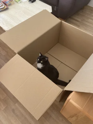 IMG_2584.webp IMG_2584.webp