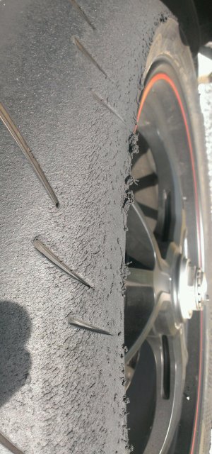 IMAG1437_1.jpg