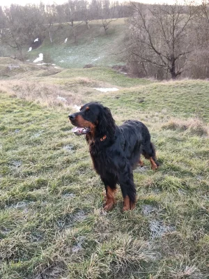 MVIMG_20260119_090215 - Kopiert (2).webp