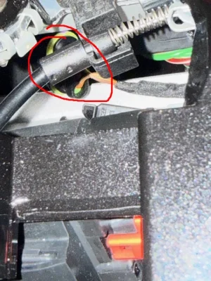 IMG_2954.webp IMG_2954.webp