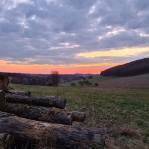 eb29d6b9-b225-4a70-9d14-bcbe87a0f0a4.webp eb29d6b9-b225-4a70-9d14-bcbe87a0f0a4.webp