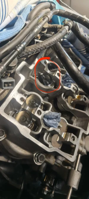 1000051309 Kopie.webp