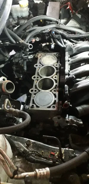 20250318_133113.webp 20250318_133113.webp