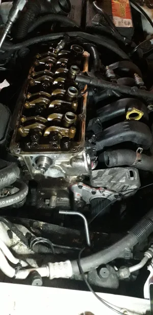 20250315_111708.webp 20250315_111708.webp