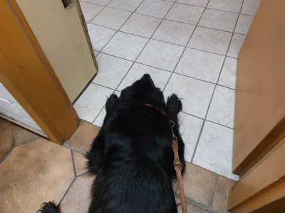 20260326_104554.webp 20260326_104554.webp