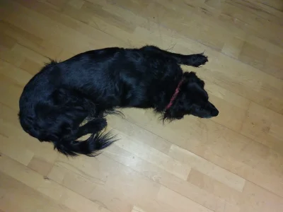 17745236423107857755252649981595.webp 17745236423107857755252649981595.webp