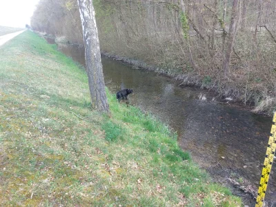 20260403_122242.webp 20260403_122242.webp