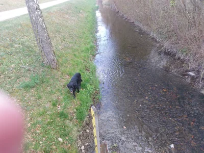 20260403_122259.webp 20260403_122259.webp