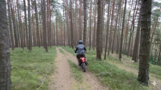 1775233504400.webp 1775233504400.webp