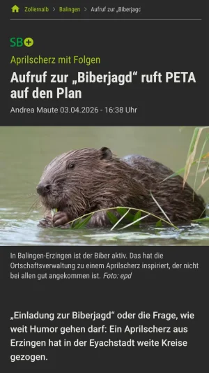 1000218057.webp 1000218057.webp