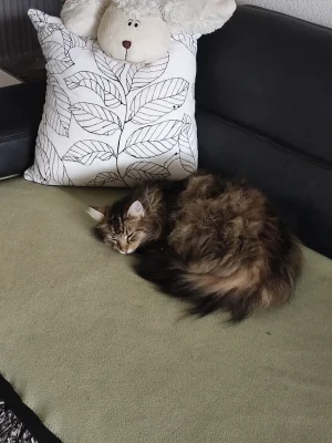 IMG_20260404_095422.webp IMG_20260404_095422.webp