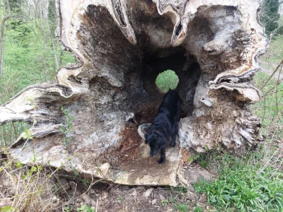 20260404_100120.webp 20260404_100120.webp