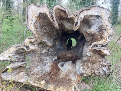 20260404_100106.webp 20260404_100106.webp