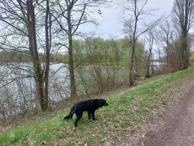 20260404_094856.webp 20260404_094856.webp