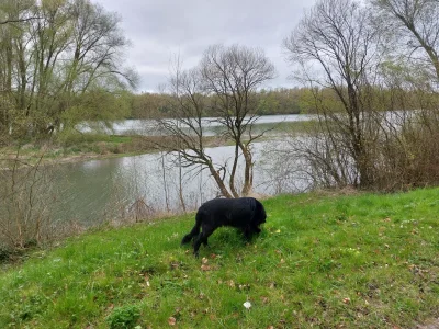 20260404_095151.webp 20260404_095151.webp