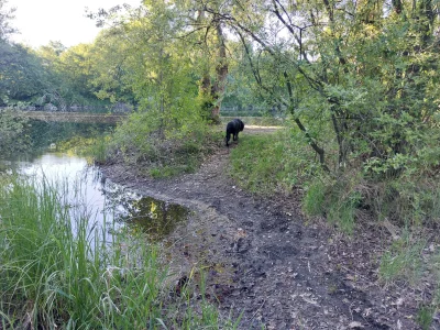 20260501_183954.webp